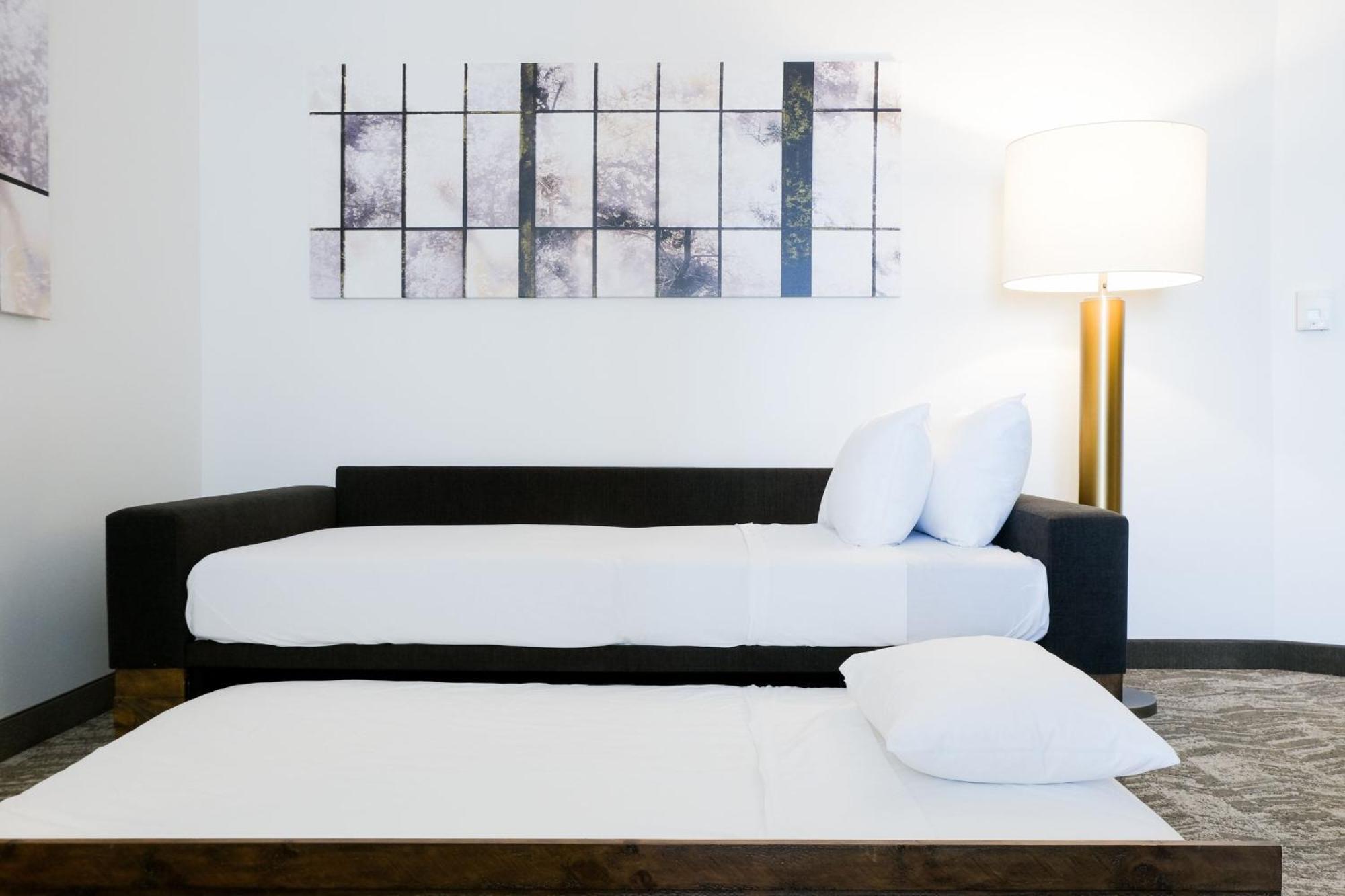 Springhill Suites By Marriott Dallas Richardson/Plano Exteriör bild